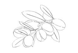 arganacaram.png arganacaram.png