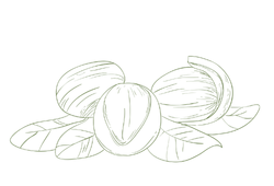 shigren.png