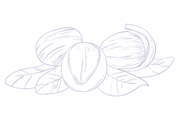 sheaviol.png sheaviol.png