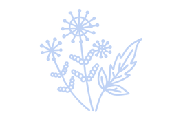 226blue.png