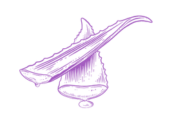 aloeviol.png aloeviol.png