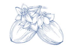 jojobl.png