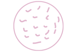 exsocome.png exsocome.png