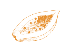 papainyel.png