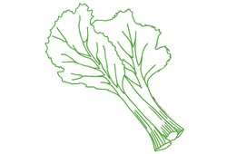 Екстракт ревеню.png