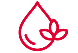 myakipav.png myakipav.png