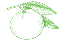 Екстракт мандарину.png