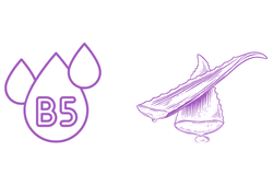 aloeb6.png