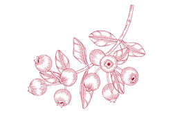 zhuravlyna.png zhuravlyna.png