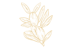 argoil.png argoil.png