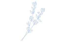 225blue.png