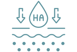 Hydrolyzed Glycosaminoglycans (полисахариди гіалуронової) кислоти1.png