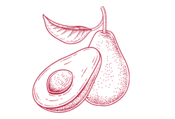 avoviole33.png