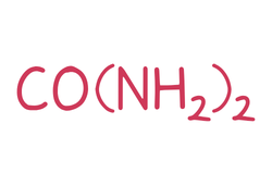 ureaformula4.png