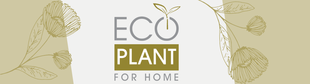 еко.png еко.png