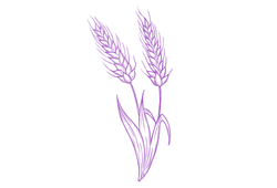 pinkpshen.png pinkpshen.png
