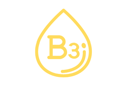 b3.png