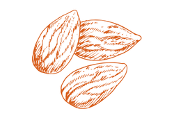 migdalorrange.png