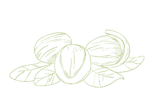 shea1010.png
