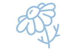 romashka.png romashka.png