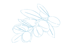 blueargana.png