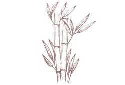 bamboobrown.png