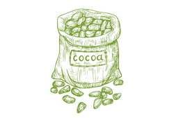 cacao12.png