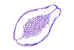 papa1a.png papa1a.png