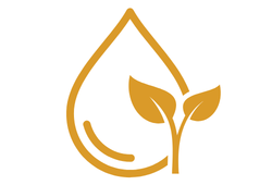 10oils.png 10oils.png
