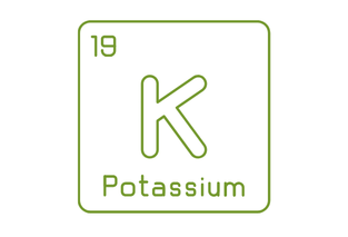 kaliy10.png