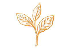teagreenyel.png