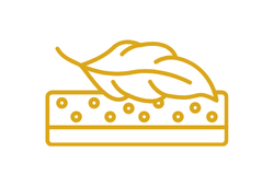 олія мурумуру.png