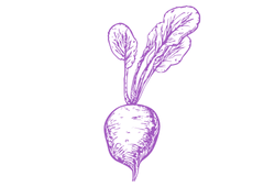екстрактчорноїредькиpink.png екстрактчорноїредькиpink.png
