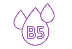 b6viol.png