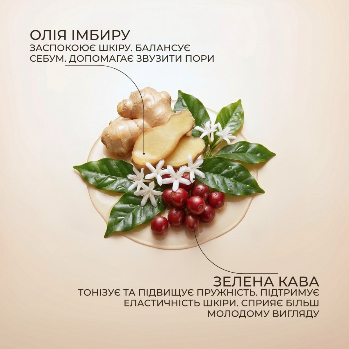 Масло для тіла Green Pharmacy Зелена кава та імбирна олія 225 мл