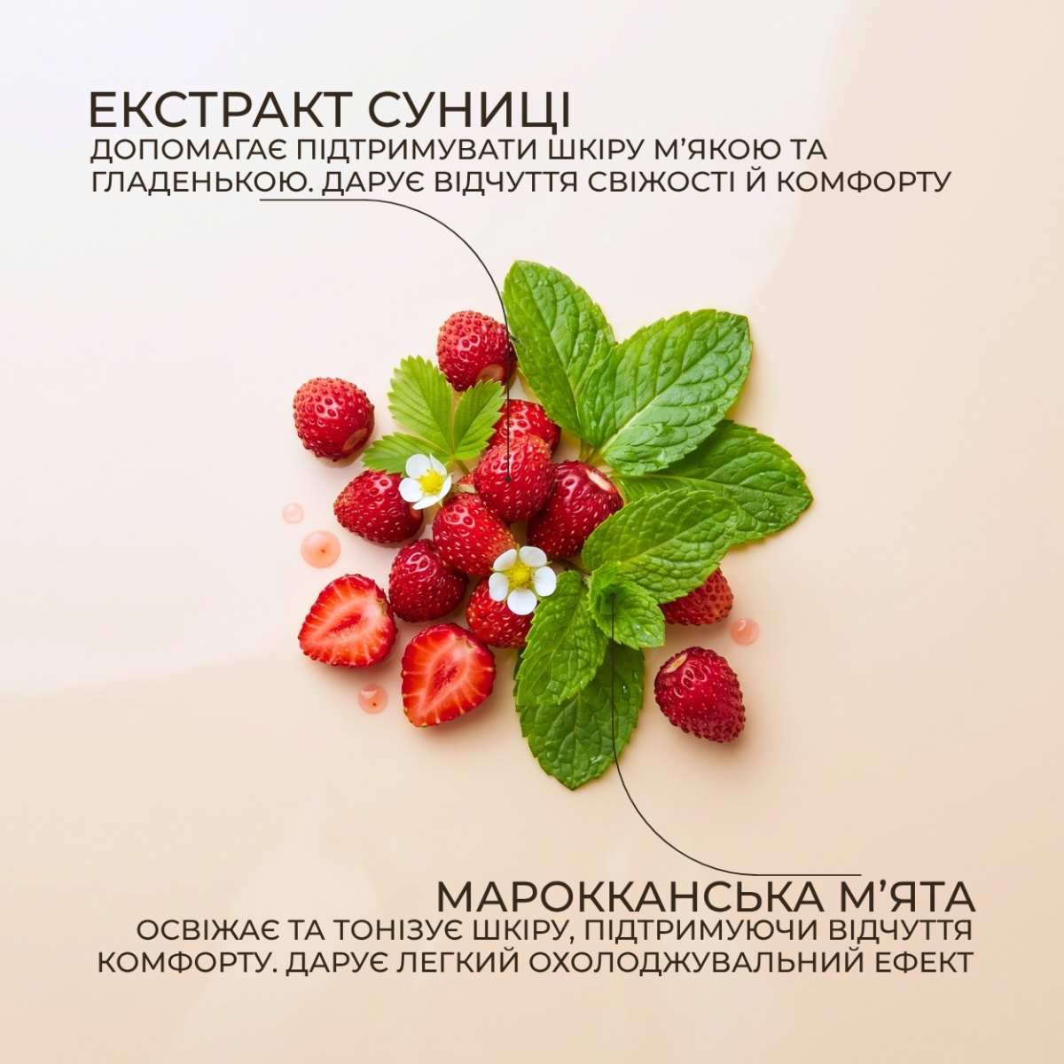 Лосьйон для тіла Green Pharmacy Cуниця та марокканська м҆ята 400 мл